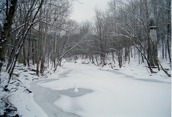 Land11
