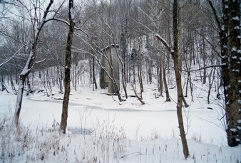 Land12