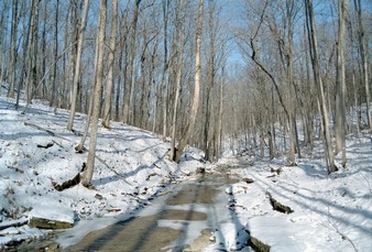 Land13
