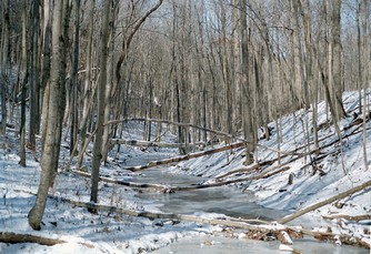 Land16