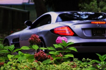 Show Car 21