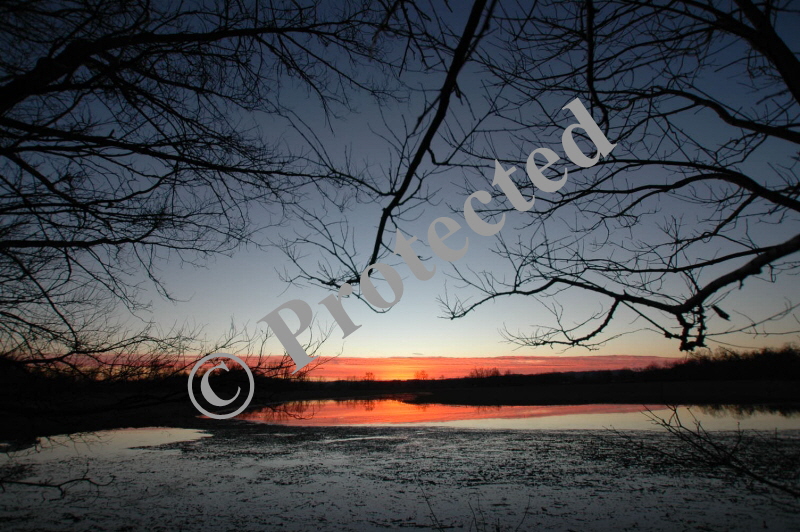Land006lg