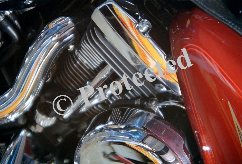 trans012lg