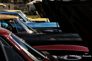 Concours 09 253